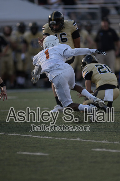 ASH_2781 - 1