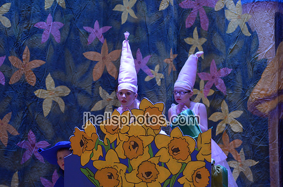 JH3_4308