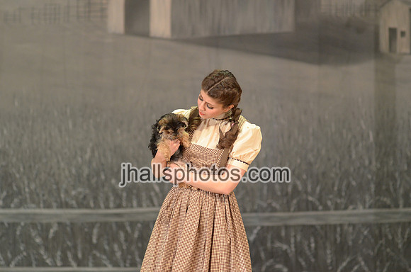 JH3_4268