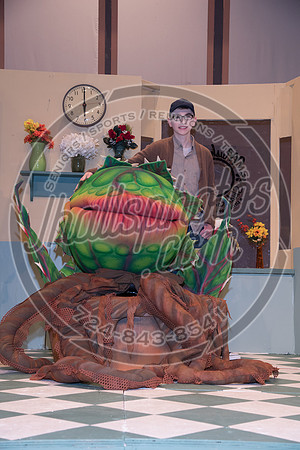 JLH_9228
