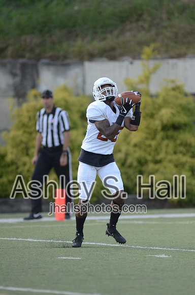 ASH_2631 - 25