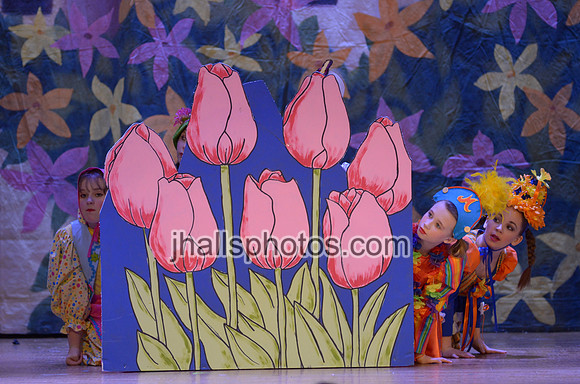 JH3_4307