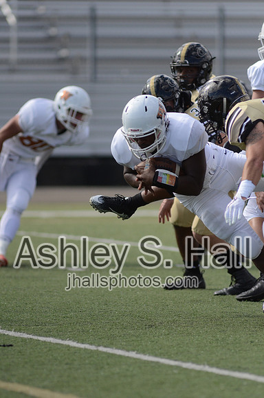 ASH_2391 - 31