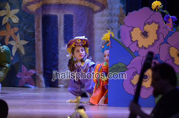 JH3_4306