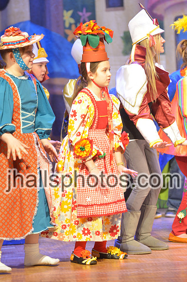 JH2_9524